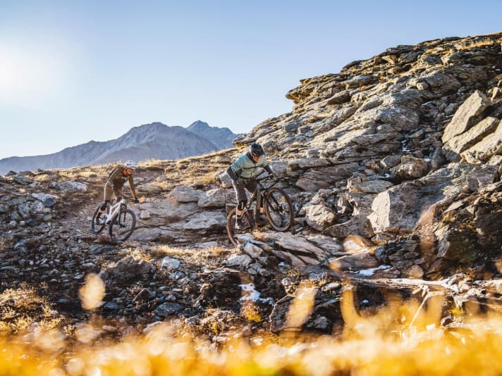 Alpine terrein is alleen voor alle bergen of enduro's? Bladerdeegtaarten! Zelfs de sportievere kandidaten uit de 130-millimetercompetitie kunnen de meest technische trails aan met een beetje vaardigheid in rijtechniek.