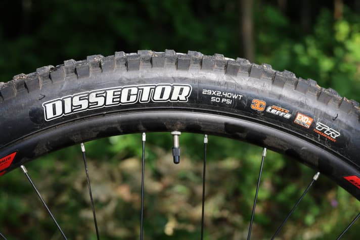 Antislipbanden met sterke lekbescherming zijn een goede keuze op de downhill all-mountain bike. Helaas zijn de 29-inch wielen niet tubeless-ready uit de fabriek.