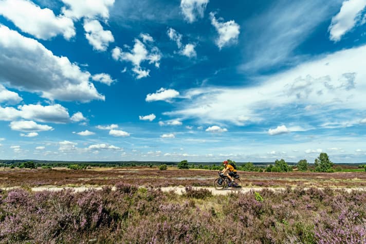 Een droom in het paars: beleef het natuurpark Lüneburger Heide in zijn hoogtijdagen tijdens een fietstocht.