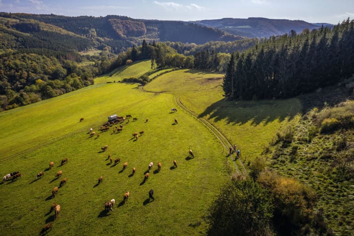 De Ardennen zijn een spannende en zeer trail-based voortzetting van het Eifelgebergte. | Fotograferen. Dennis Stratmann