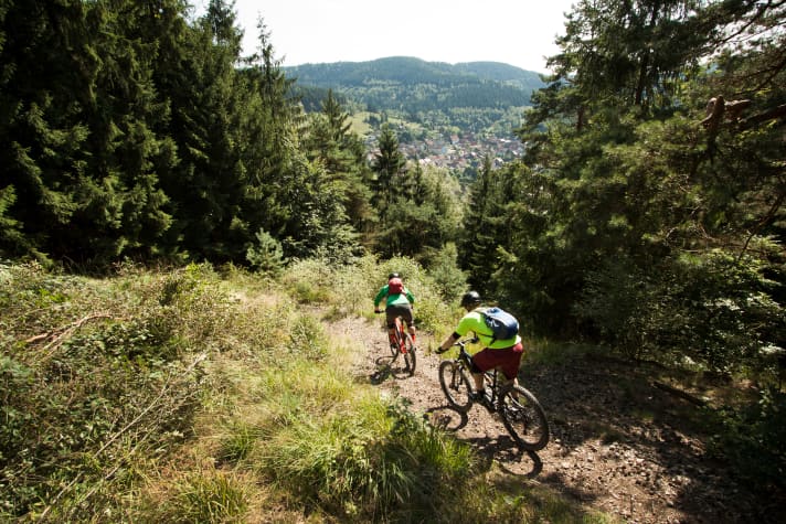 Als mountainbiker hoef je de Brocken niet op. De mooiste paden zijn te vinden aan de rand van het Harzgebergte.