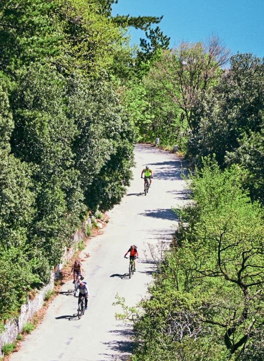 Voor de sportievelingen: mountainbikers op een pad in de buurt van Torbole in het noorden.