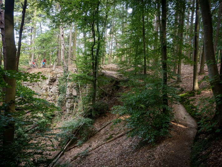 De paden in de Ardennen balanceren ook over leistenen rotswanden.
