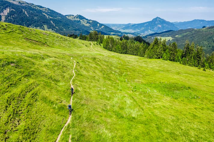 Een prentenboekroute strekt zich uit over de Gschwender Alpe. Later moet je echter veel meer moeite doen.