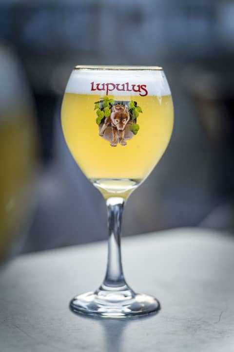 De bieren met het schattige wolfje (Lupulus) in het logo behoren zeker tot de beste bieren van België