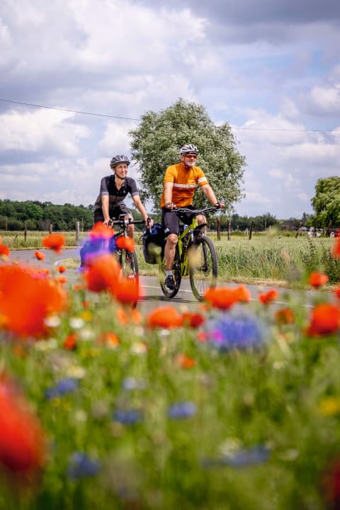 Waalse schatkist: op de UNESCO-fietsroute door het zuiden van België